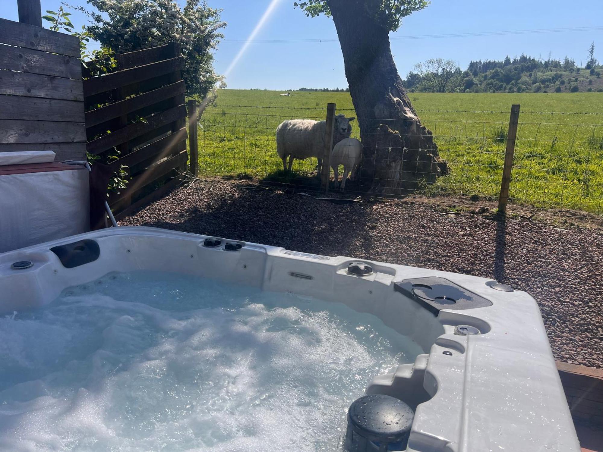 Woodlane Lodge With Private Hottub & Pool Table Dumfries Esterno foto